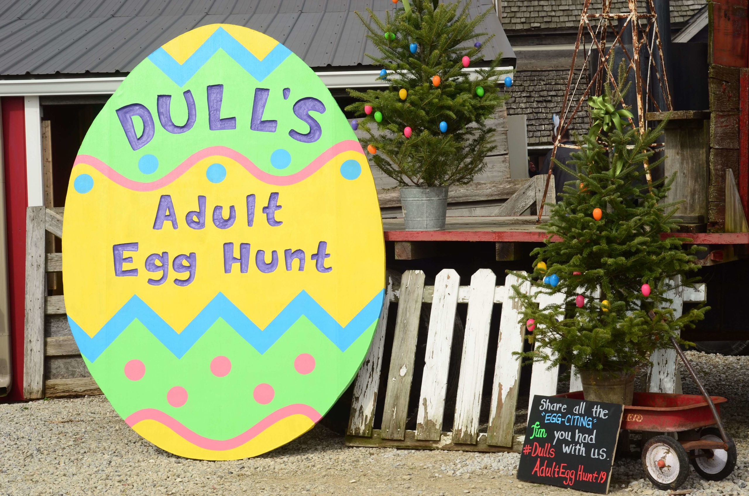 Hunting for Easter Eggs, Why Let the Kids Have All the Fun? Boone EDC