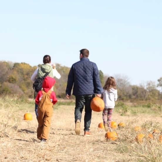 Dulls Tree Farm Pumpkin Harvest