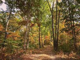 Zionsville, IN starkey park fall foliage hike