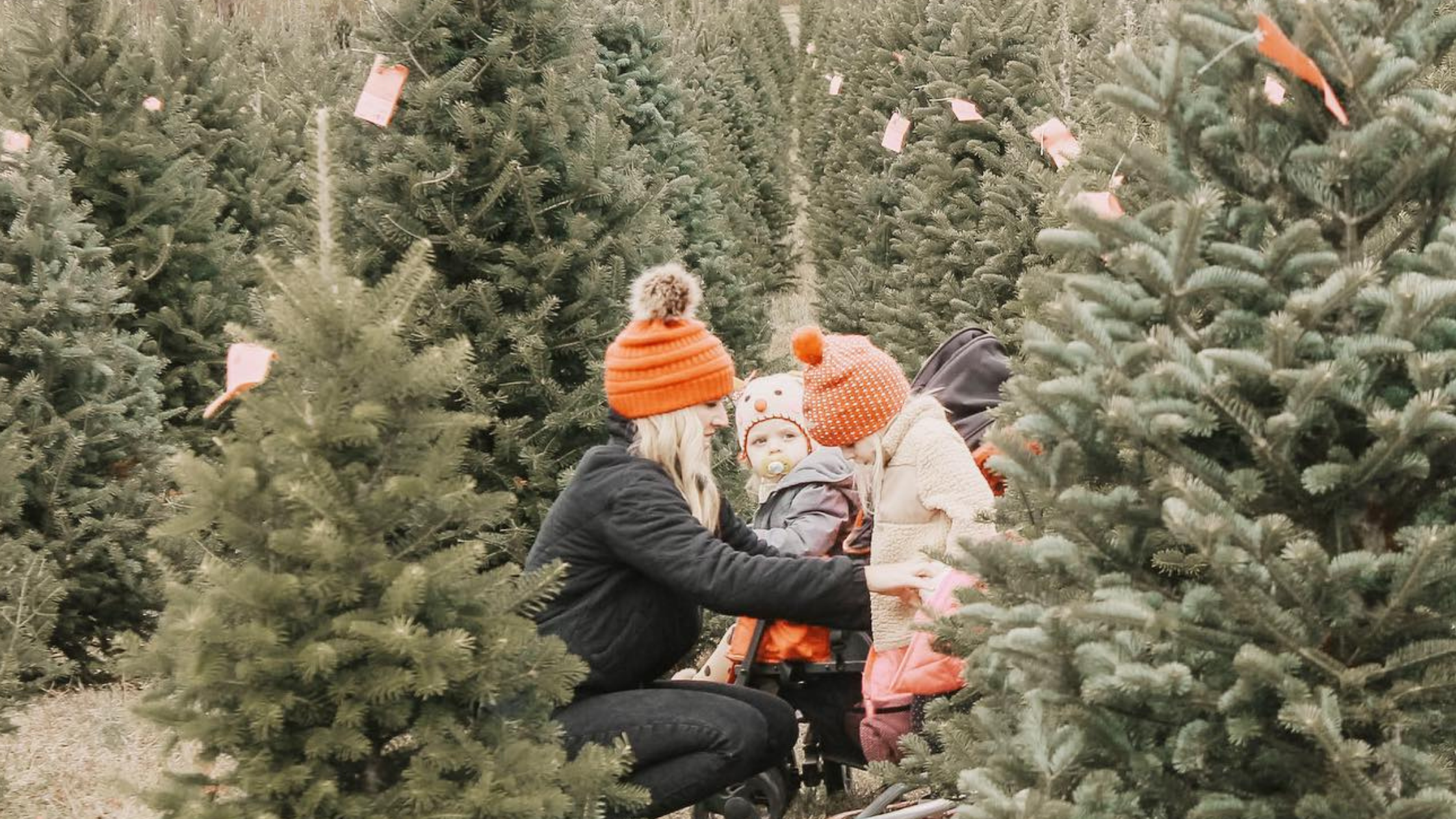 Zionsville Christmas In The Village 2022 Holiday Events In Boone County - Boone Edc